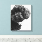 Toile Quoi ? / Black Toy Poodle in B&W Photography (Insitu (Plancher de Bois))