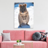 Toile Quokka, Rottnest Island, Australie (Insitu(Salon))
