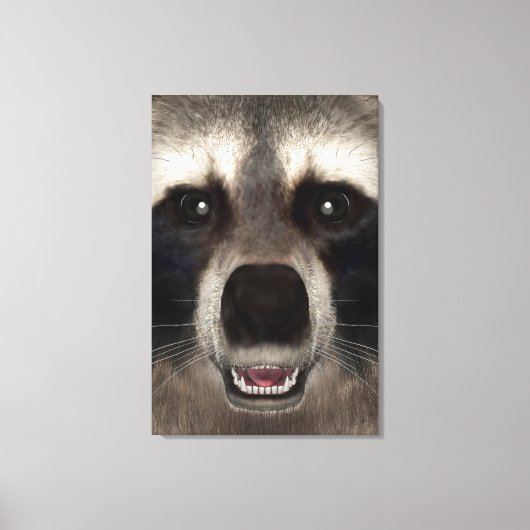 Toile Raccoon (Recto)