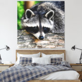 Toile Raccoon 003 (Insitu(Chambre))