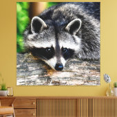 Toile Raccoon 003 (Insitu(Salon))