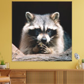 Toile Raccoon 004 (Insitu(Salon))