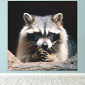 Toile Raccoon 004 (Insitu (Plancher de Bois))