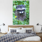 Toile Raccoon malicieux (Insitu(Chambre))