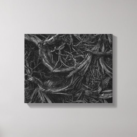 Toile Racines de l'arbre (Recto)