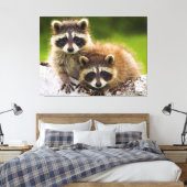 Toile Racoons (Insitu(Chambre))