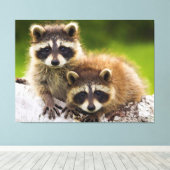 Toile Racoons (Insitu (Plancher de Bois))