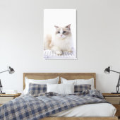 Toile Ragdoll cat sur le clavier de l'ordinateur (Insitu(Chambre))