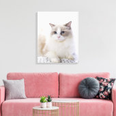 Toile Ragdoll cat sur le clavier de l'ordinateur (Insitu(Salon))