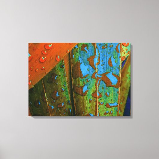 Toile Raindrops Go Tropical (Recto)