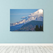 Toile Rainier P5002 (Insitu (Plancher de Bois))