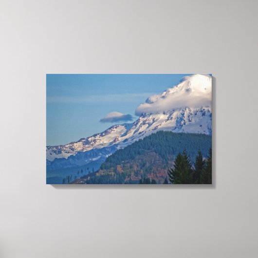 Toile Rainier P5002 (Recto)
