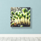 Toile Rainy Growth - (Insitu (Plancher de Bois))