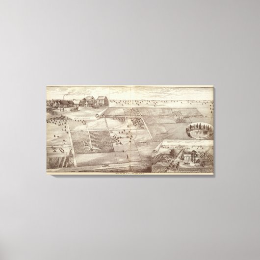 Toile ranch Paige & Morton (Recto)