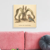 Toile Rare Roller Botanique & Welwitschia Art Vintage (Insitu(Salon))