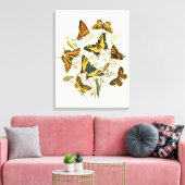 Toile Rassemblement coloré de papillons et de chenilles (Insitu(Salon))