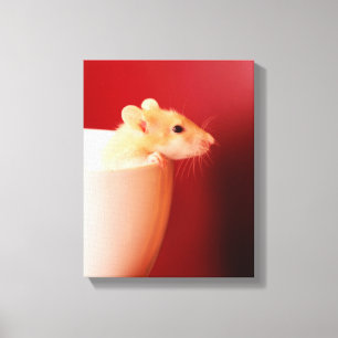 Toile Rat bébé