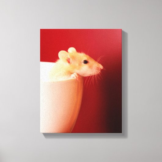 Toile Rat bébé (Recto)