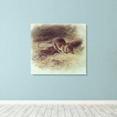 Toile Rat Brown 1918 (Insitu (Plancher de Bois))