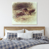 Toile Rat Brown 1918 (Insitu(Chambre))