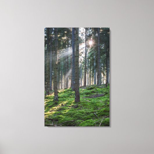 Toile Rayons de soleil dans la Forêt-Noire (Recto)
