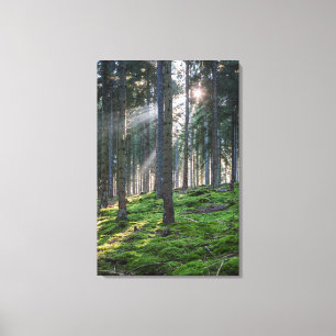 Toile Rayons de soleil dans la Forêt-Noire