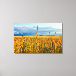Toile Rayons de soleil sur champ de blé avec montagnes