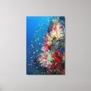 Toile Récif de corail sous-marin, Indonésie