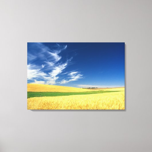 Toile Récolte de blé sur le Palouse dans l'est (Recto)