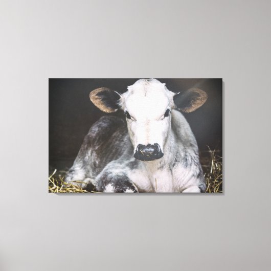 Toile Récolte de jour occupée (Recto)