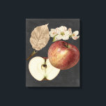 Toile Récolte de minuit II<br><div class="desc">Floral</div>