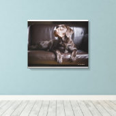 Toile Récupérateur de chocolat Labrador (Insitu (Plancher de Bois))