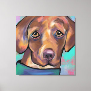 TOILE RÉCUPÉRATION DE LABRADOR