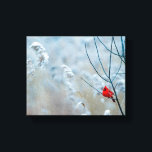 Toile Red Cardinal dans Winter Nature Photo de Christmas<br><div class="desc">Impression de toile avec une photo nature pittoresque représentant un cardinal rouge vif. Contrasté par rapport à un arrière-plan hivernal extérieur avec la neige tombant doucement vers le bas.</div>