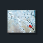 Toile Red Cardinal dans Winter Nature Photo de Christmas<br><div class="desc">Impression de toile avec une photo nature pittoresque représentant un cardinal rouge vif. Contrasté par rapport à un arrière-plan hivernal extérieur avec la neige tombant doucement vers le bas.</div>