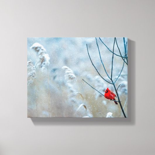 Toile Red Cardinal dans Winter Nature Photo de Christmas (Recto)