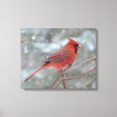 Toile Red cardinal en hiver (Recto)