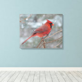 Toile Red cardinal en hiver (Insitu (Plancher de Bois))