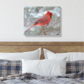 Toile Red cardinal en hiver (Insitu(Chambre))