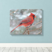Toile Red cardinal en hiver (Insitu (Plancher de Bois))