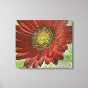 Toile Red Gerbera