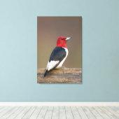 Toile Red-headed Woodpecker on fence (Insitu (Plancher de Bois))