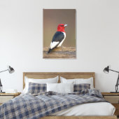 Toile Red-headed Woodpecker on fence (Insitu(Chambre))