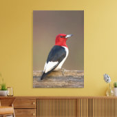 Toile Red-headed Woodpecker on fence (Insitu(Salon))