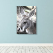 Toile Red Kangaroo (Insitu (Plancher de Bois))