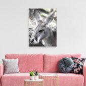 Toile Red Kangaroo (Insitu(Salon))