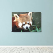 Toile Red Panda, Zoo de Taronga, Sydney, Australie (Insitu (Plancher de Bois))