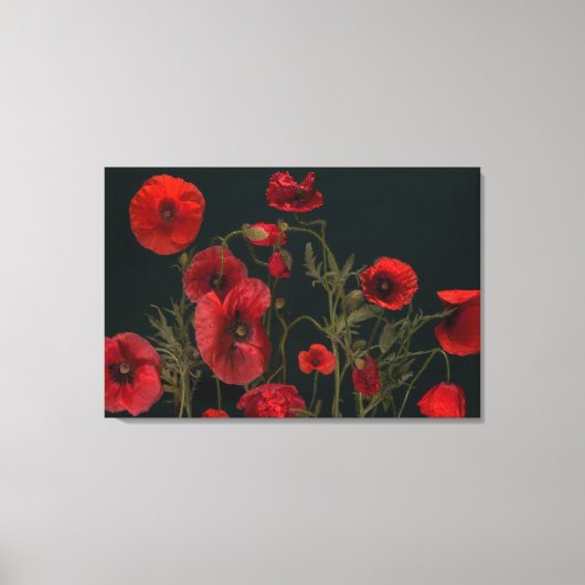 Toile Red Poppies (Recto)