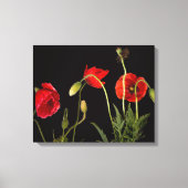 Toile Red Poppies (Recto)
