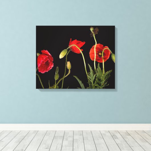 Toile Red Poppies (Insitu (Plancher de Bois))